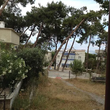 Beyaz * Didim
